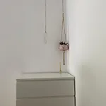 公寓 福尔摩沙公寓 *